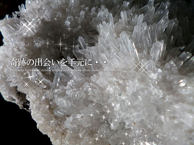 ヒマラヤ水晶 クラスター 超特大巨大水晶 アースキーパーチルドレン 虹入りフラワー020
