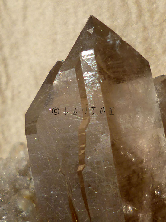画像14: ゴールドタイチンルチルクォーツクラスター027｜gold titin rutile quartz cluster｜14