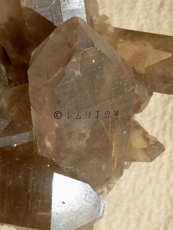 画像22: ゴールドタイチンルチルクォーツクラスター027｜gold titin rutile quartz cluster｜22