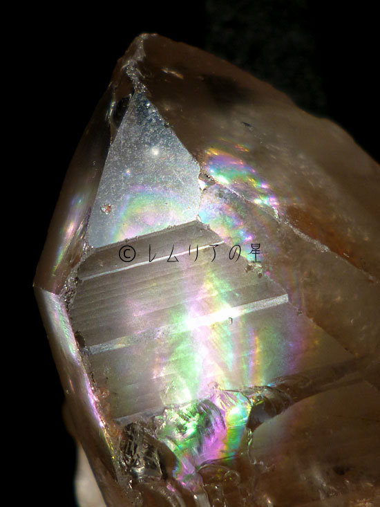 双頭レムリアンシード、特大巨大水晶、虹入り水晶、プレンティーキーパー、ステップドアカシックライン、ドルフィン、パストタイムリンク、クリスタル752
