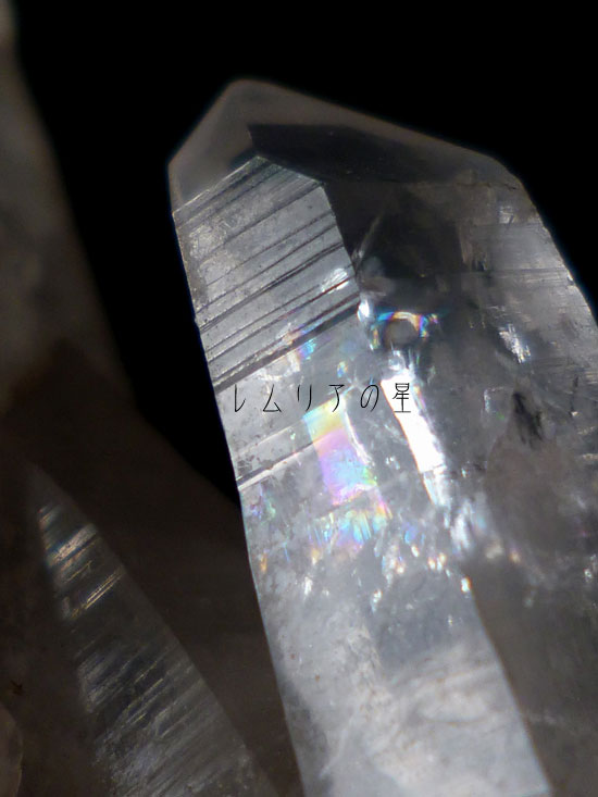 レムリアンシードクラスター、虹入り水晶、タントリックツイン、ドルフィン、ダイヤモンドウィンドウ、クリスタル772