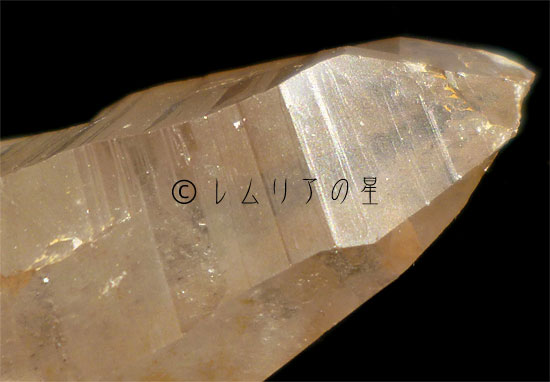 画像2: ゴールデンヒーラー レムリアンシード、プラチナルチル水晶1054｜lemurian seed rutile quartz｜02