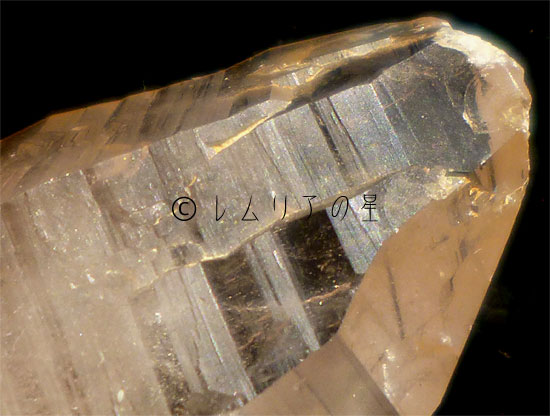 画像3: ゴールデンヒーラー レムリアンシード、プラチナルチル水晶1054｜lemurian seed rutile quartz｜03