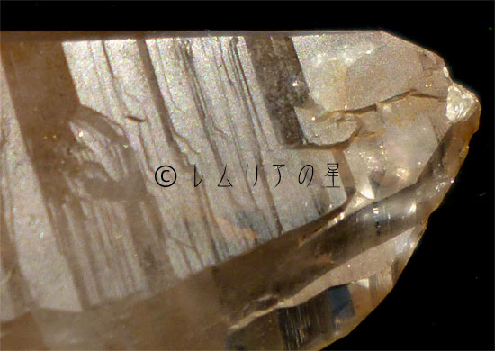 画像4: ゴールデンヒーラー レムリアンシード、プラチナルチル水晶1054｜lemurian seed rutile quartz｜04