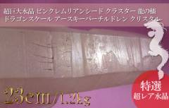 pink_lemurian_seed467