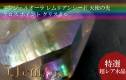 lemurian_seed1255