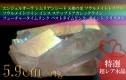 lemurian_seed1252